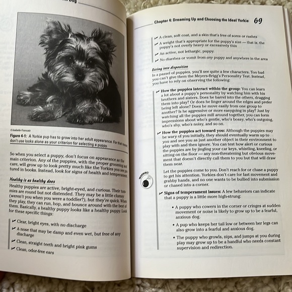 TWO Yorkshire Terrier Breed Care Manuals - Picture 9 of 12
